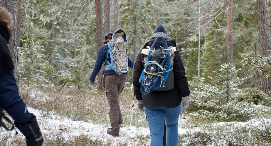 Singlereizen Lapland